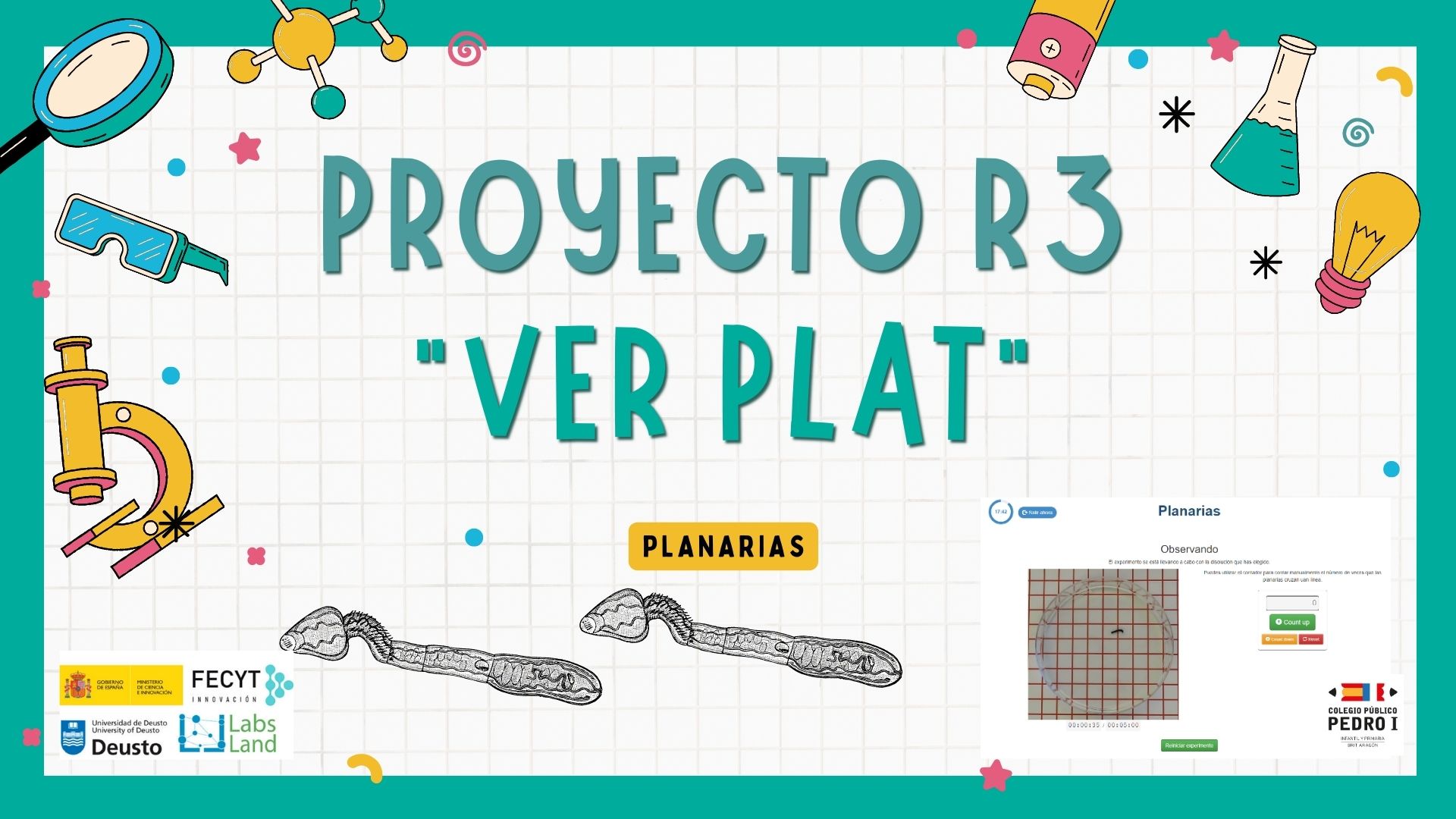 CEIP Pedro I planarias